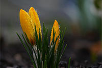Am frühen Morgen