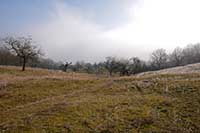 Winterlicher Blick vom Weinbergweg bei Buckow
