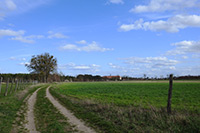 Feldweg bei Wriezen mit Blick auf das Krankenhaus