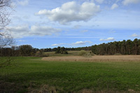 Eiszeitlandschaft bei Wriezen Richtung Biesdorfer Kehlen
