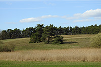 Eiszeitlandschaft bei Wriezen