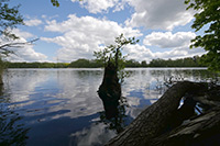 Am Bötzsee