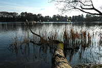 Am Bötzsee