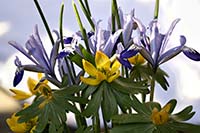 Der Frühling ist da