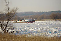 2021 Winter an der Oder