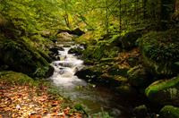 An der wilden Ilse (Teil 1)