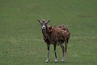 Besuch im Wildgehe Wriezen