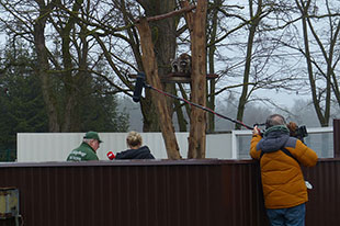 Besuch im Wildgehege Wriezen